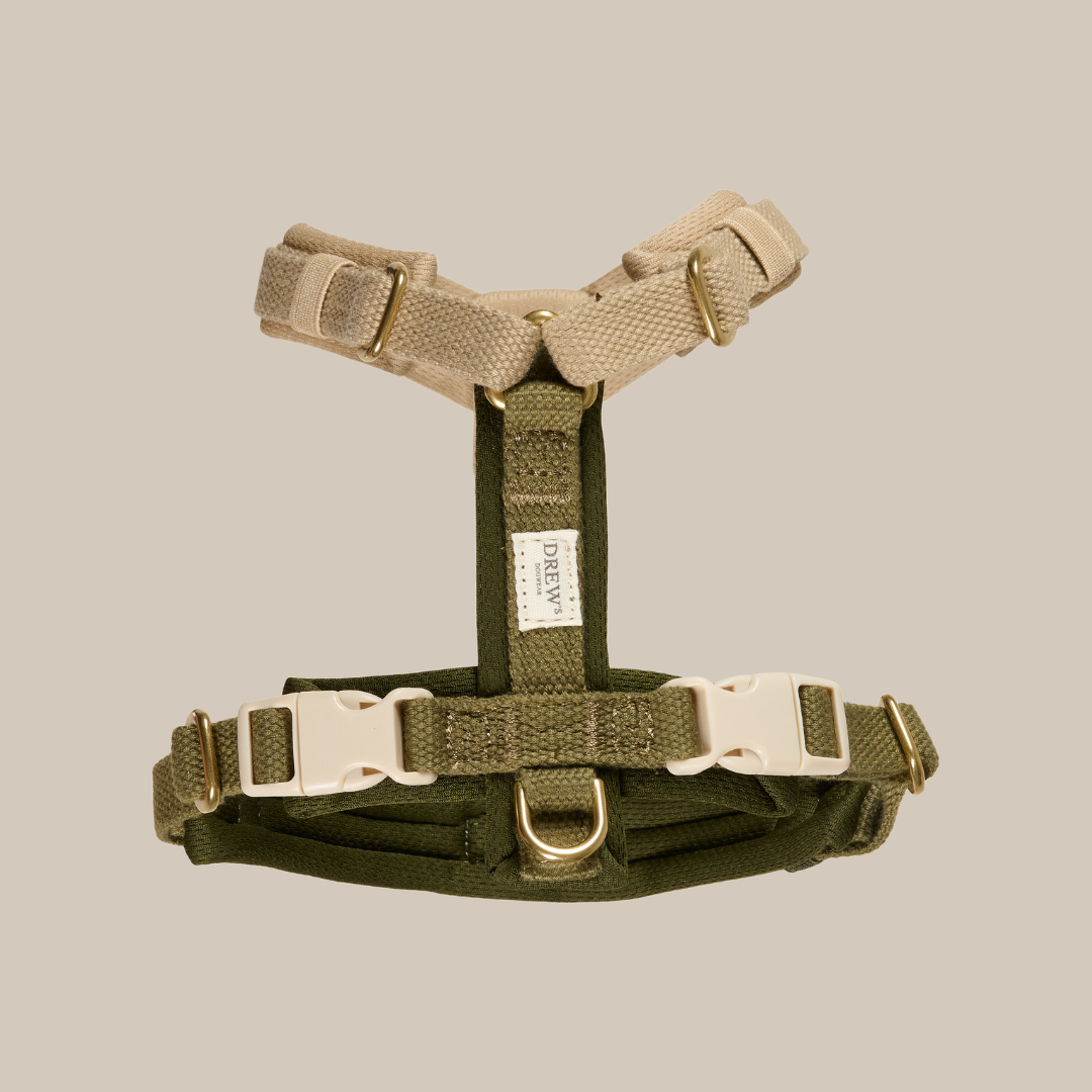 Olive PRO hundesele i grøn og beige fra Drews Dogwear med messingdetaljer