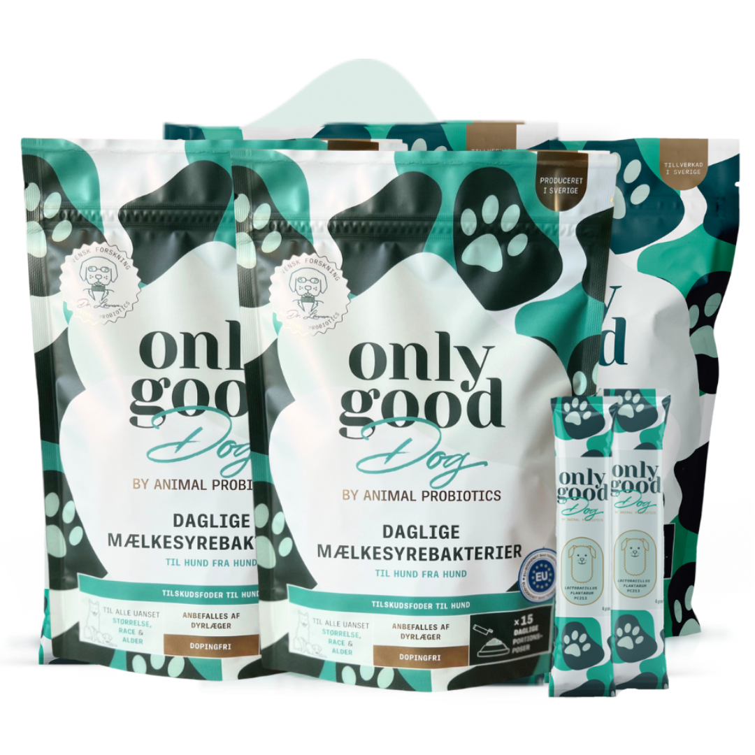 Pose med OnlyGoodDog probiotikapulver til hund fra Gode Bakterier