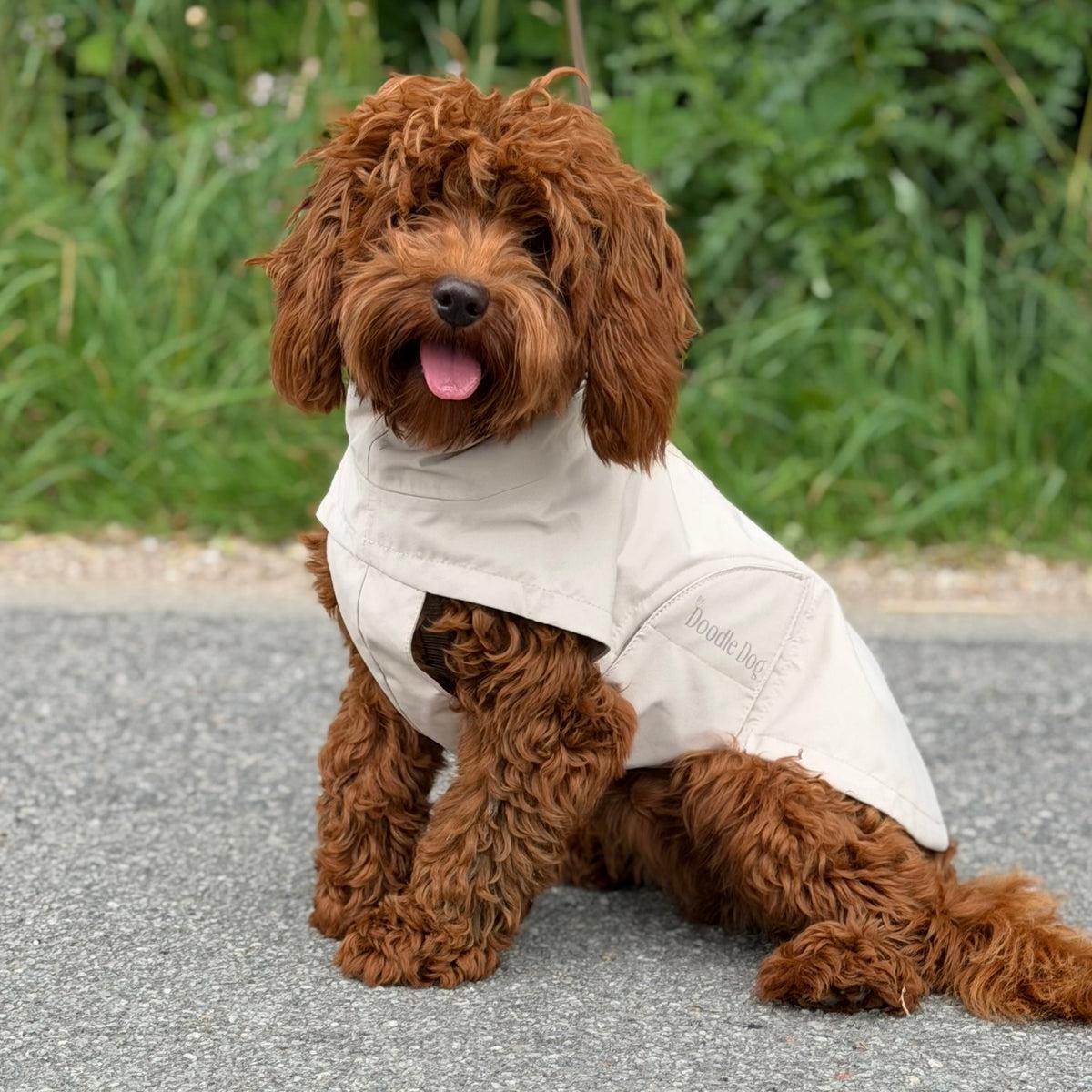 Beige regnjakke til hund fra ByDoodleDog med reflekterende logo