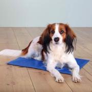 Blåt kølende køletæppe til hunde i deluxe-model fra MyPets