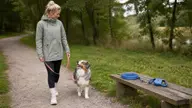 Hund luftes i fast line ved en bænk med to andre snore