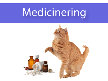 Medicinering